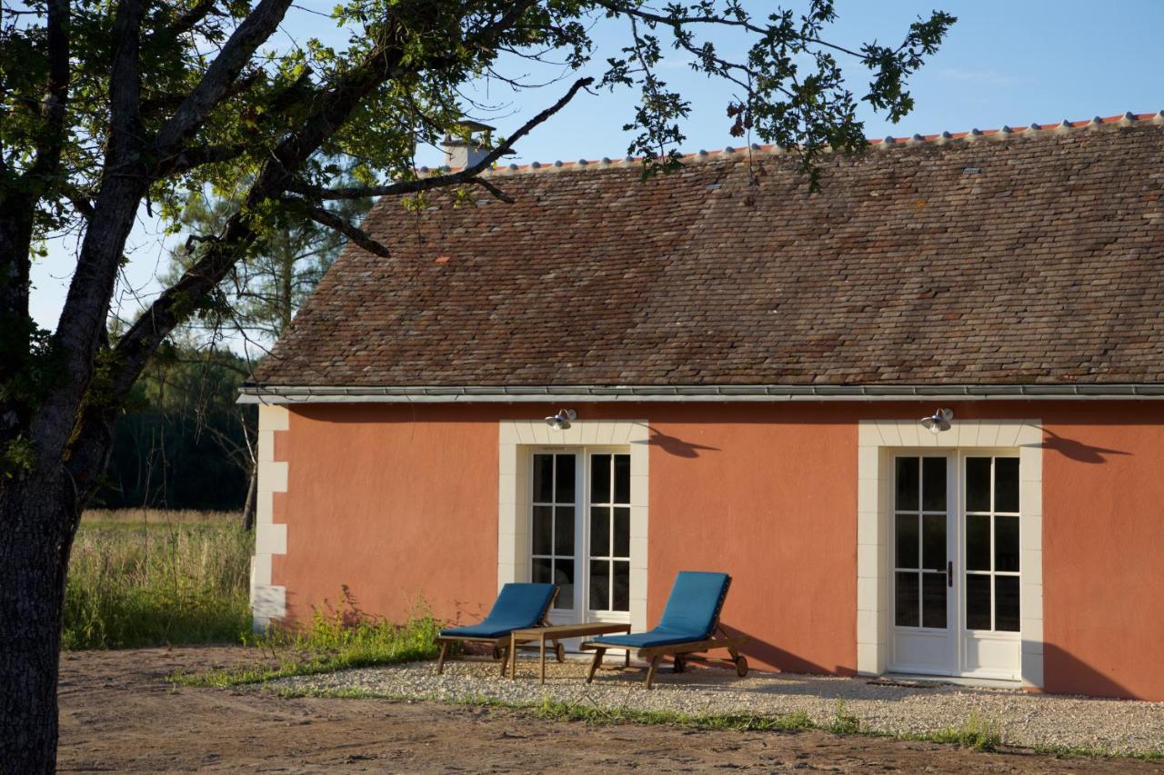 Domaine De La Trigaliere Villa Ambillou Exterior photo